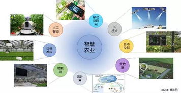 互聯(lián)網(wǎng)+農(nóng)業(yè) 中國農(nóng)業(yè)電商的春天真的來了